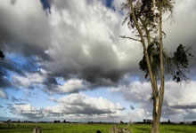 世俱杯将面对凯恩，博卡后卫打趣：谁头球更强？我将爆杀他.