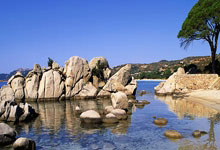 津媒:吴澄舒、王妍雯机会充足 加盟第戎这类球队是留洋明智之举.